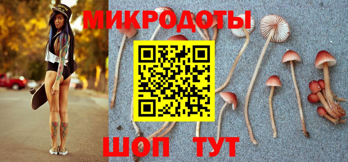 Псилоцибиновые грибы Psilocybe Камышин