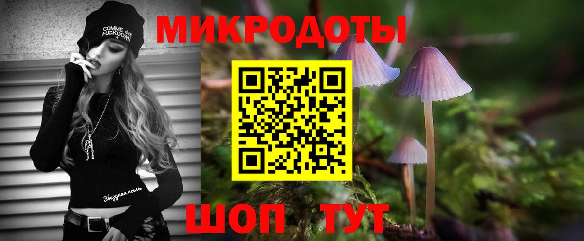 Галлюциногенные грибы Magic Shrooms  Вход с VPN  Галлюциногенные грибы Psilocybine cubensis  Камышин 